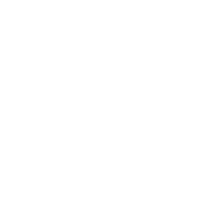 Salon No. 7 Logo